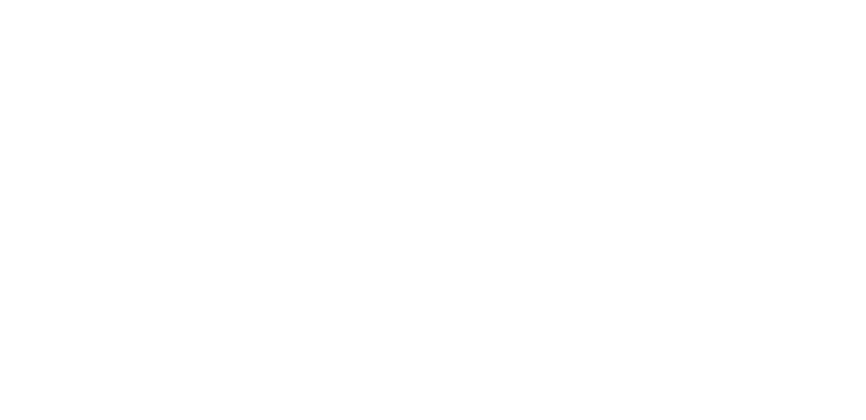 ECHO_LOGO_2025_PELLEGRIN